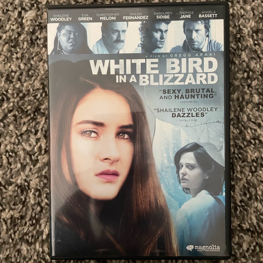 White Bird in a Blizzard